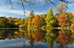 Fall @ Prospect Park Lake 2014-11-04