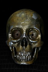 Robot skull