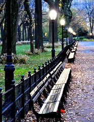 New York November morning Walk in Central Park 2014