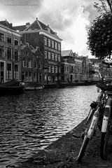 Leiden City