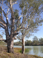 Waikerie region, South Australia
