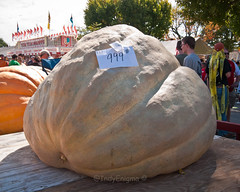 112th Annual Versailles Pumpkin Show (2014)