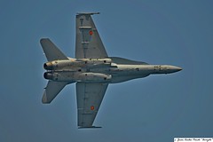Hornet F-18