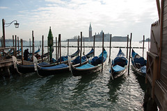 2011 Venice in January
