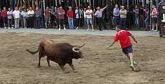 The Running of the Bulls