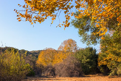 Aliso-Woods Canyon Wilderness Park (Oct 2014)