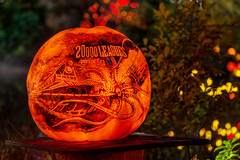 Roger Williams Zoo 2014 Jack-O-Lantern Spectacular