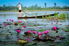 Vietnam countryside & nature