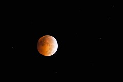 Lunar Eclipse of 8 October 2014