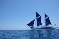 2014 Sailing Adventures