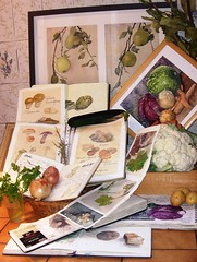 still lifes with notebooks. Composition