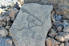 Big Island - Puako Petroglyph Archaeological Preserve, Hawaii