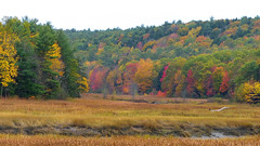 New England October 2014