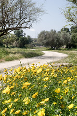 Ashkelon Nature Reserve 