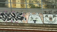 Graffiti in Florence (Firenze)