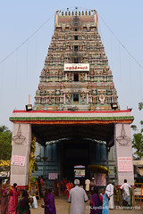 Marundheeswarar Temple AdhikaraNandhi Utsavam