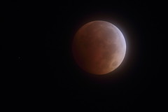 Total Lunar Eclipse - 8 Oct 2014
