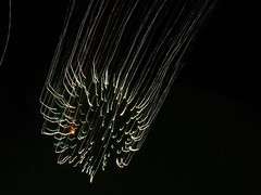 Dunbeth Park Fireworks 2014