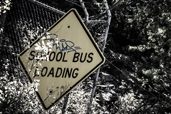 School Bus Loading
