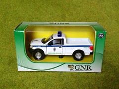 GNR Models