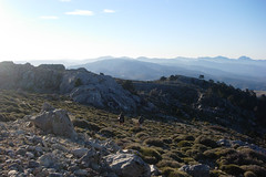 Sierra de las Nieves_Torrecilla