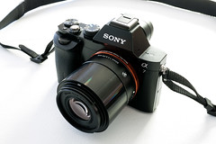 Sony A7 & Sigma 60mm