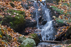 Waterfall Trail - Gatineau Park