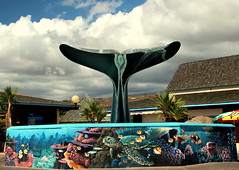 Saint-Gilles les Bains et l'Aquarium de la Réunion