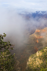 OUEST USA - GRAND CANYON 