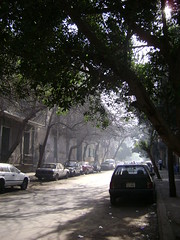 A Morning in Shubra, Cairo