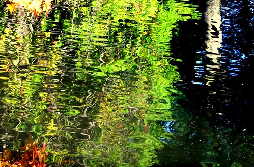 park autumn trees abstract colour reflection tree green fall nature water forest river germany geotagged deutschland pond colours hessen farm herbst casio ripples 2008 reflexions spa exilim hesse kurpark badorb axeld
