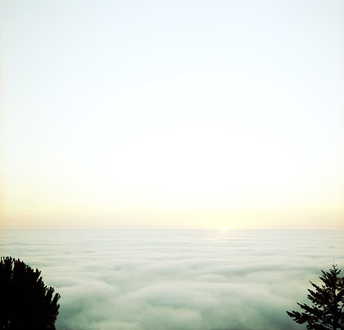 trees sunset sun 120 film silhouette fog kodak hasselblad simplicity portra skylineblvd fogbank sanmateocoast 400nc hwy35 120mmcf