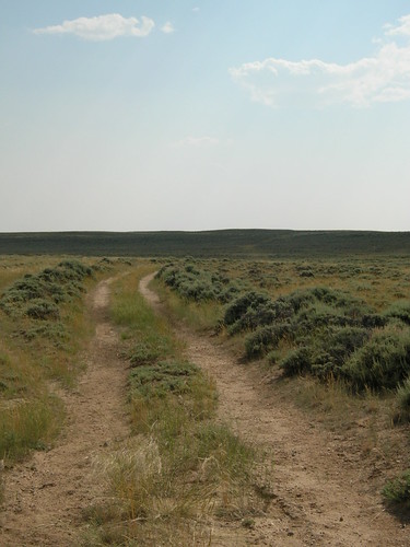 sage wyoming prairie overlandtrail