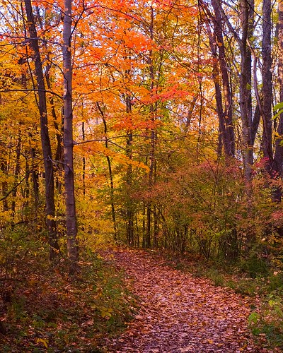 park autumn fall colors paul indiana ruster indinapolis