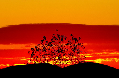 sunset red color silhouette landscape warm girona sensual passion fujifilm catalunya vidreres