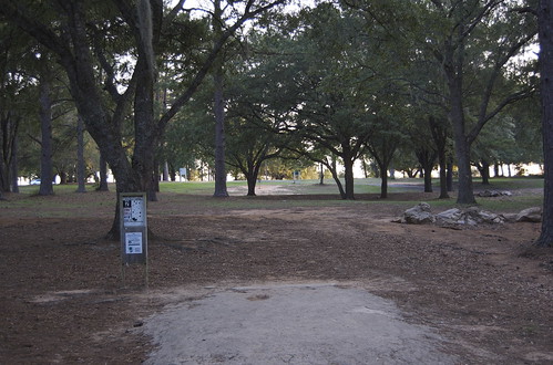 park trees landscape tallahassee discgolf tombrownpark