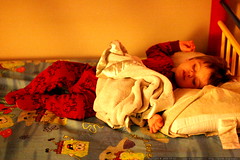 sequoia sleeping in the "starfish" position    MG 1476 