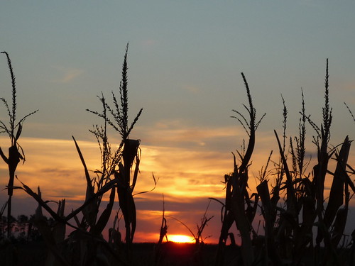 county sunset ohio london cemetery field corn farm madison kirkwood