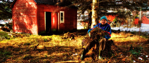 old red house colour tree norway jenny hdr mystic 3x måløy vågsvåg