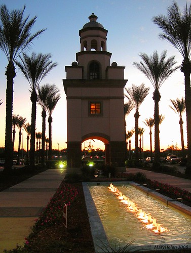 sunset silhouette palms texas dusk laredo wildcard laredomedicalcenter