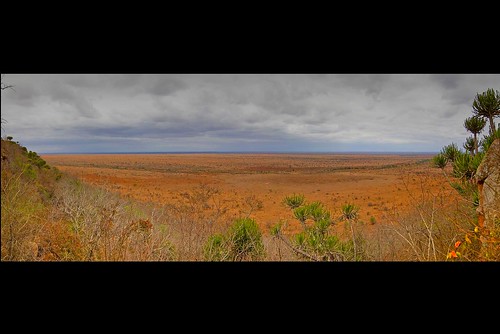 beautiful landscape southafrica open flat stitch cloudy panoramic loveit savannah krugernationalpark kruger lowersabie damniwishidtakenthat