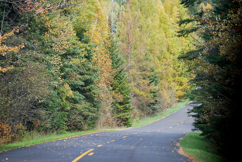 trip travel autumn trees usa fall nature leaves minnesota outdoors unitedstates roadtrip 2009 itascastatepark