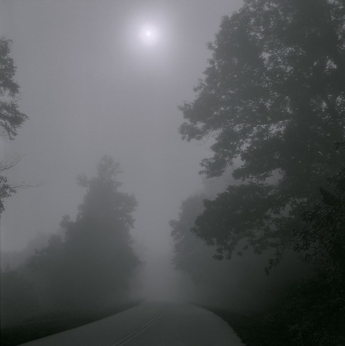 road trees sun mist nature monochrome fog backlight landscape nebel uv peaceful northcarolina uva ultraviolet