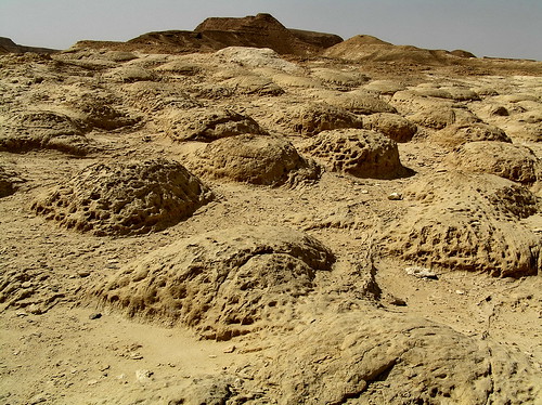 israel desert negev smallpox נגב