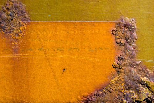 orange macro metal germany munich geotagged bayern deutschland bavaria spring rust europa europe pentax outdoor decay aficionados allach nohdr 8x k10d pentaxk10d smcpentaxda35mmf28macrolimited geo:lat=48180874 geo:lon=11459242