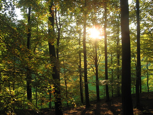 autumn fall flickr herbst weser indiansummer weserbergland altweibersommer goldeneroktober