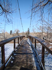 Suspension Bridge @ Calgary Zoo
