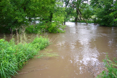 creek flooding dry rapids cedar