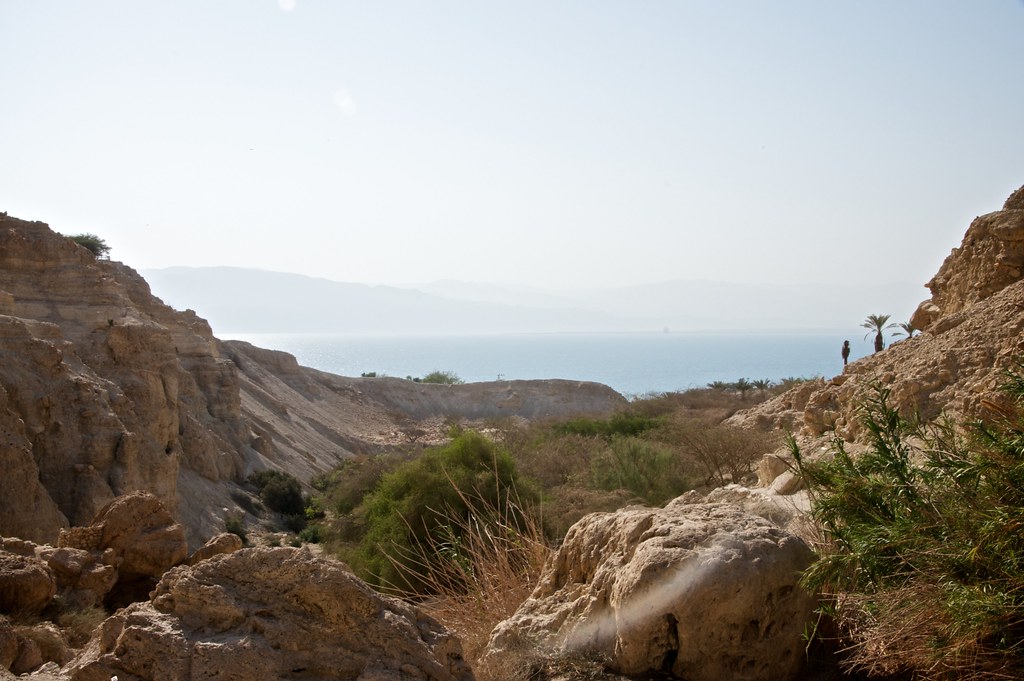 A View to the Dead Sea