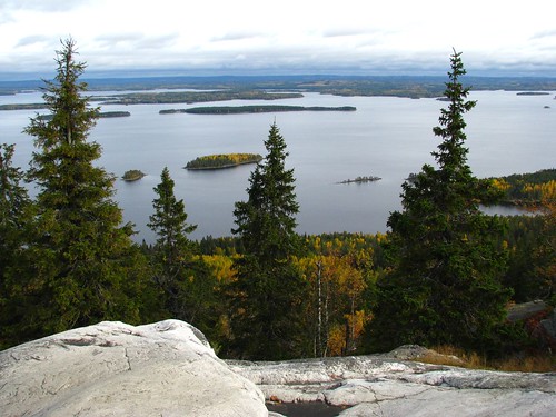 park trees lake fall nature beauty suomi finland landscape view scenic lookout national koli pielinen